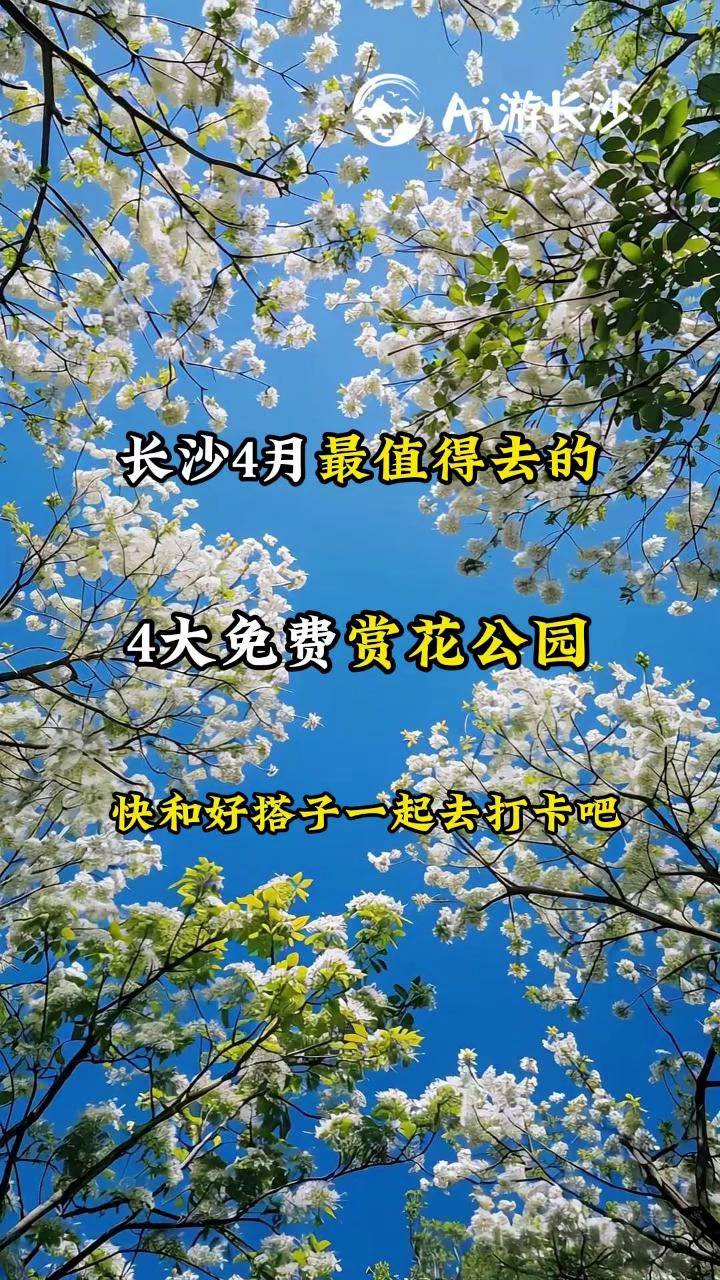 L(zhng)ɳL(zhng)ɳֵȥĴM(fi)p@ʿ@P@ҾĻ@ع@L(zhng)ɳ̤칫@L(zhng)ɳ
